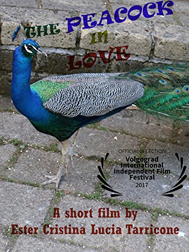 Download The peacock in love