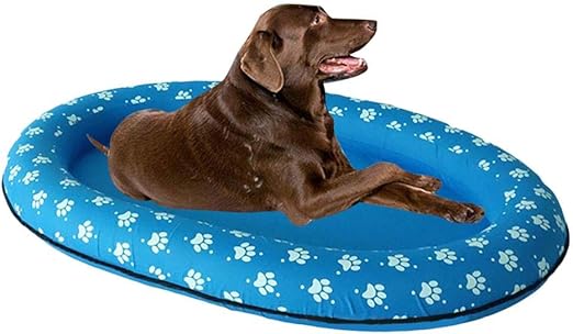 floating dog bed