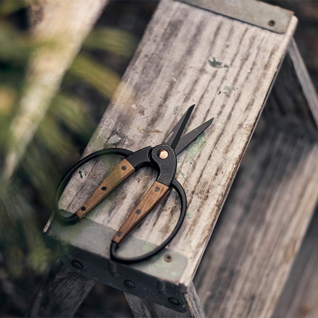 Barebones | Walnut Scissors, Small - Ambidextrous Grip, Wide Handles & Comfortable Fit: Home Improvement