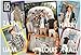 One Direction 304 Pieces Poster Puzzle, Styles May Vary