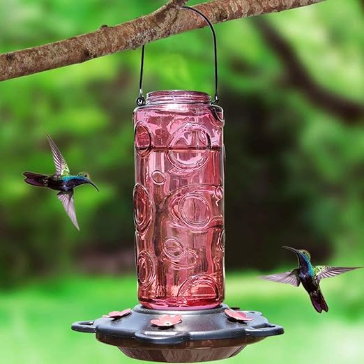Amazon Com Juegoal 28 Oz Glass Hummingbird Feeders For Outdoors