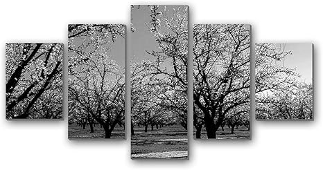 Amazon Co Jp 満開の桜の木 自然 8228 白黒 5枚 パネル アートパネル 現代壁の絵 壁掛け部屋飾り背景絵画 キャンバス写真 壁アートしゃしん 木枠付きの完成品 装飾 軽くて取り付けやすい Home Kitchen