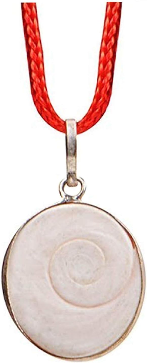 satisfactory nationGomti Chakra Pendant Gomti Chakra Locket In Silver Metal Natural Direct From Gomti River India For Men and Women
