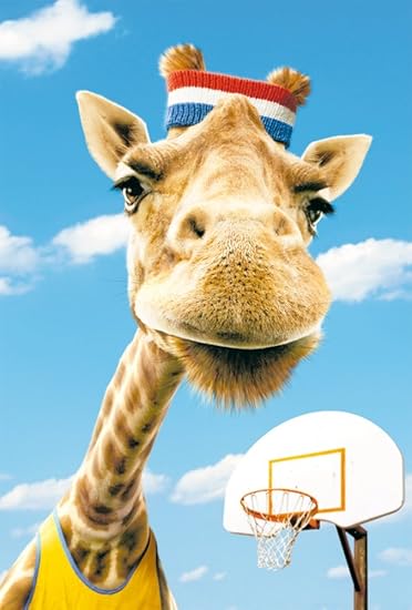 Avanti 94 1037 Carte D Anniversaire Humoristique Motif Girafe Au Basket Ball Amazon Fr Fournitures De Bureau