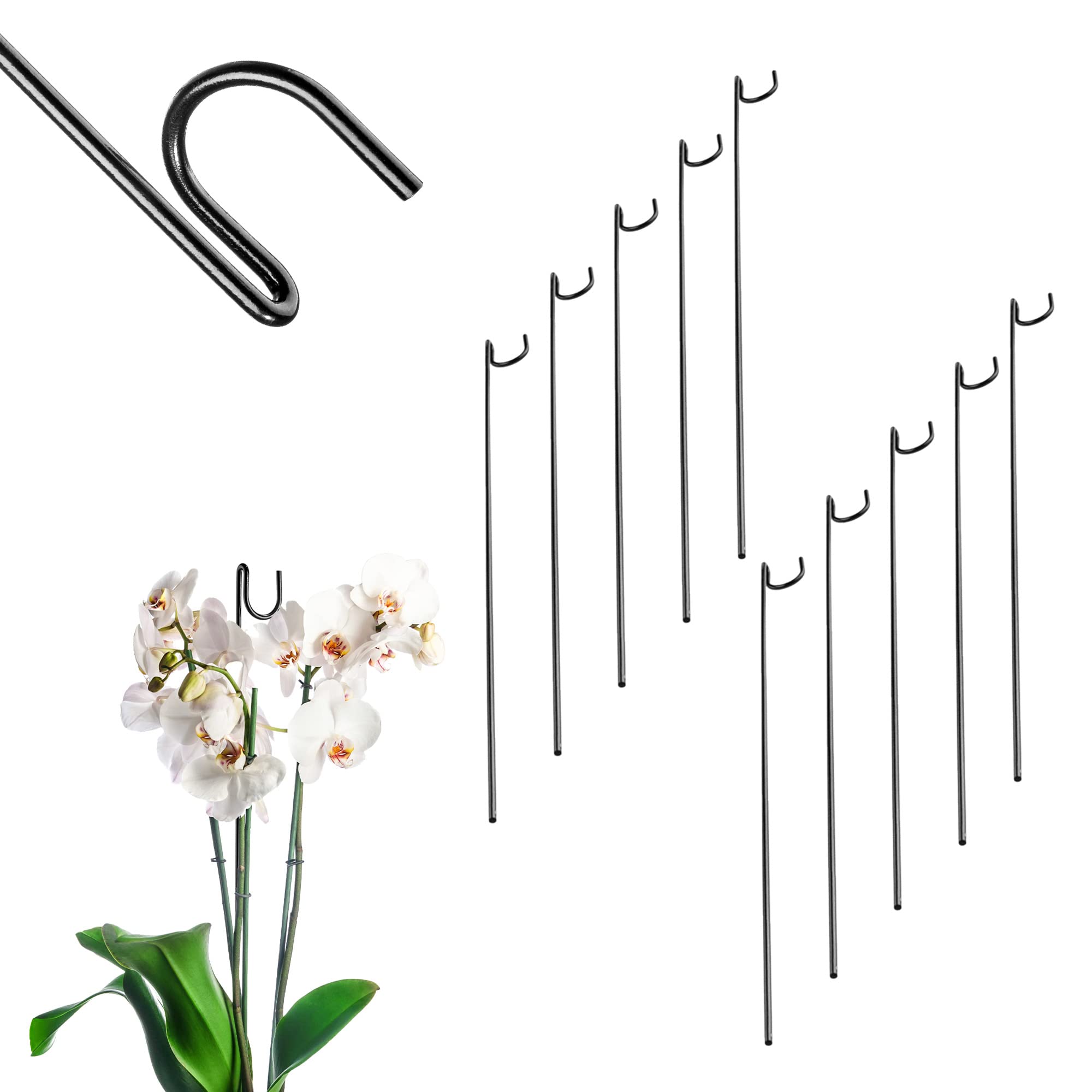 KADAX Plant Support Stakes, Set of 10, Decorative Black Steel Supports for Indoor Flowers, Single Stem Support Sticks for Orchid (Straight, 50 cm)