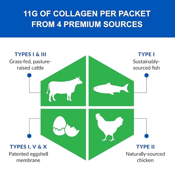 BIOTRUST AGELESS MULTI COLLAGEN PEPTIDES POWDER – TYPES I, II, III, V, X – UNFLAVORED COLLAGEN POWDER FOR WOMEN & MEN – HYDROLYZED PROTEIN– GRASS FED BEEF, FISH, CHICKEN, EGGSHELL MEMBRANE(16 PACKETS)
