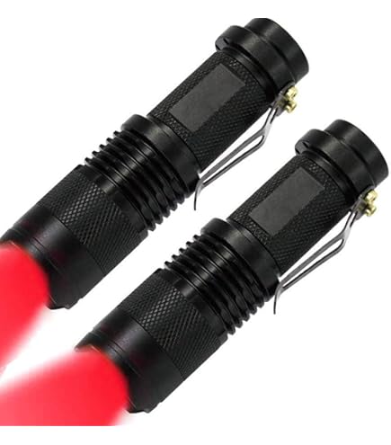 Lampe Torche LED Rouge 670 Nm – Contre La Perte De Vision – Neuve