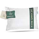 ComfyDown Goose Down Travel Pillow - Filled with 800 Fill Power European Goose Down, Egyptian 300 Thread Count 100% Cotton Cover for Plane car & Home - Made in USA (13" x 18")