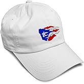 Speedy Pros Soft Baseball Hat Embroidered Dad Hat Puerto Rican Flag Brush Boricua Caribbean Men & Ladies Baseball Cap
