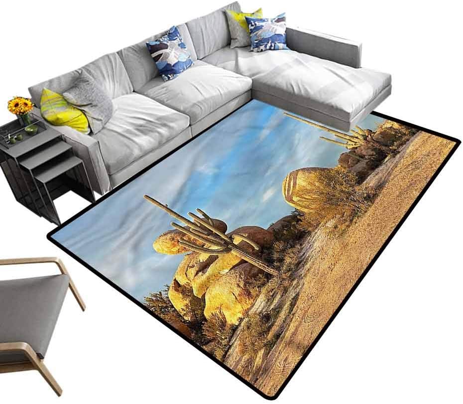 Cactus, Camping Mat Saguaros Boulders Sunset Modern Abstract Colorful Area Rug Easy to Clean Stain Fade Resistant Super Soft, 4'x 4'