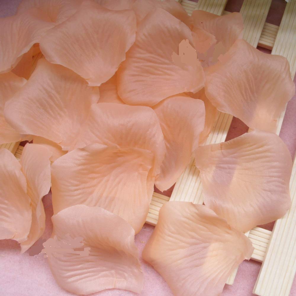 CHSYOO 1000 x Artificial Roses Petal Flowers Confetti, Decorations for Wedding Birthday Bridal Shower Valentines Marriage Proposal, Champagne