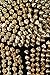 Ecilu Women's Striking Burlesque Studded Rivet Dance B Cup Bustier Sport Bra