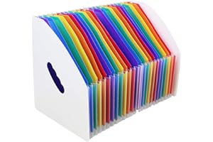 SAYEEC Organiseur de fichiers en accordéon à 24 poches verticales A4 avec poignée pour documents d'examen, factures, bureau, 