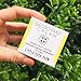Little Seed Farm All Natural Deodorant Cream, Aluminum Free Deodorant for Women or Men, 2.4 Ounce - Grapefruit Lemon