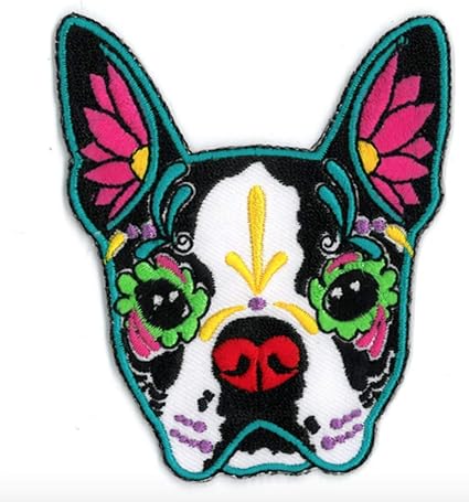 boston terrier products