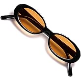 VANLINKER Polarized Retro Oval Sunglasses for Women and Men Small 90s Style VL9580