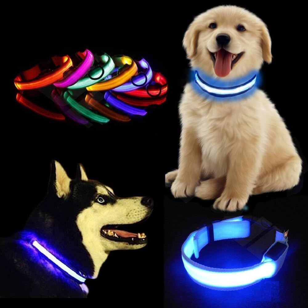 BARGAIN4ALL Dog Collar Light Up LED USB Rechargeable & Waterproof with 3 Flashing Modes Pet Dog Safety Luminous, Super Bright Adjustable Collar (Pink, Medium)