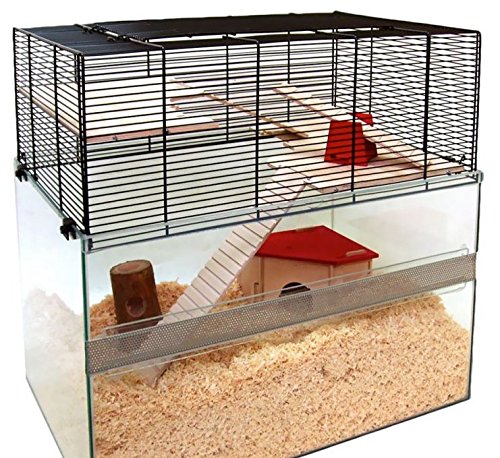 oral hygiene chews for dogs