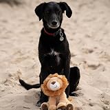 Petface Planet Luis The Lion Plush Dog Toy view 6