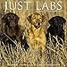Just Labs 2019 Wall Calendar (Dog Breed Calendar)