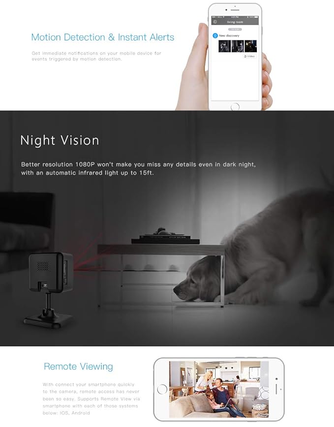 clever dog cloud storage