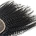 Luwigs Afro Kinky Curly 5x5 Lace Closure Human Virgin Hair 4B 4C Lace Closure with Baby Hair Free Part Natural Color (12 inches, Afro Kinky Curly 4B 4C)