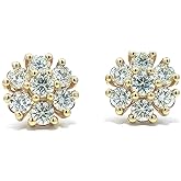 Trendy Flower Cluster Mens Women 14k Yellow Gold Plated 925 Sterling Silver Screw Back Post Hip Hop Round Shape Iced 5A CZ Circle Earrings Jewelry Gifts For Men Women