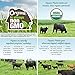 Organic Valley Uncured Organic Grass Fed Beef Hot Dogs