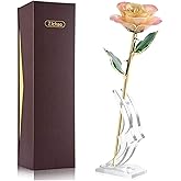 ZJchao 24K Valentines Rose Gifts for Women, Eternal Love Preserved Plated Rose Flower, Best Present for Wife/Lover/Girlfriend Anniversary, Wedding, Birthday (Peach)