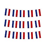 Netherlands Flag Dutch Flag, Small String