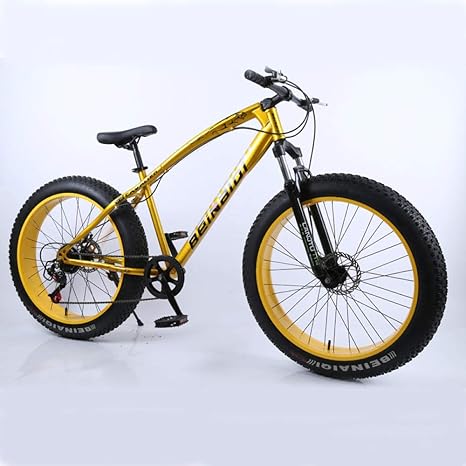fat bike light