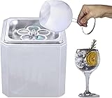 Glass Chiller, Mini Co2 Glass Froster Maker, The