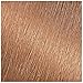 Garnier Nutrisse Ultra Coverage Hair Color, Deep Medium Nautral Blonde (Almond Cookie) 800 (Packaging May Vary), Pack of 1