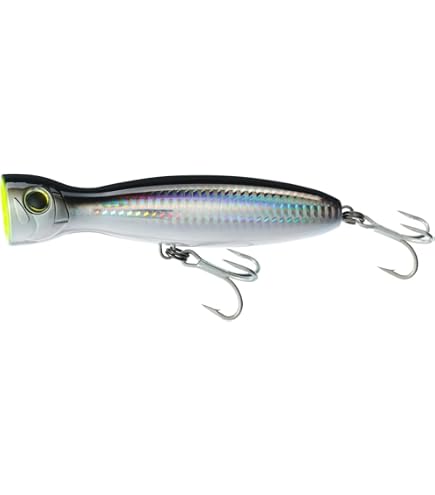 Amazon.com : Yo-Zuri R1371-HB: Mag Popper (F) 160Mm 6-1/4