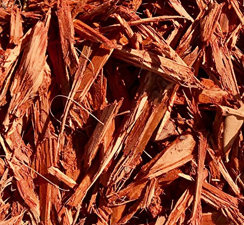 BLACK DIAMOND COATINGS INC. PRO Landscape Series Mulch Binder (1 Gallon, Red)