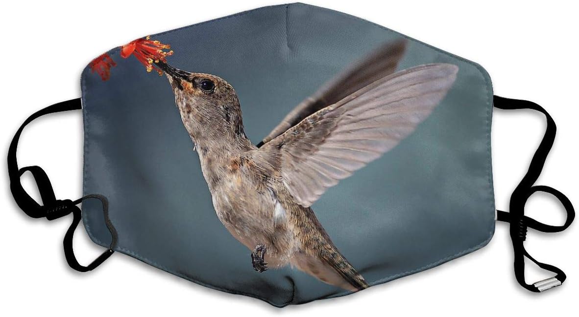 Fashion Face Cover Adjustable Elastic Band Hypoallergenic Face and Nose Cover for Pollen Smog Medical Climbing (Humming Bird in Flight)