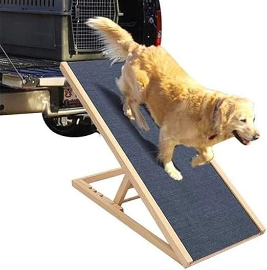pet ladders