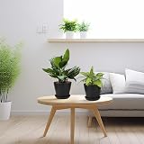 KINGLAKE 8Pcs 4 Inch Black Plastic Plant Pots with Drainage Holes and Trays view 5