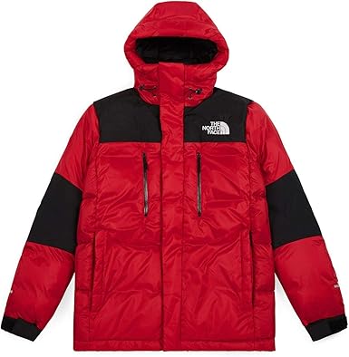 the north face m orig him gtx down