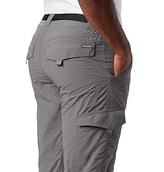Columbia Men's Silver Ridge Cargo Pant, City