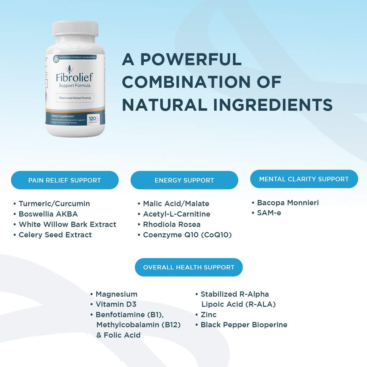 Fibrolief: Fibromyalgia Support Formula - Vitamin and Herbal Formula for Back, Neck, and Muscle Pain Relief - 120 Count (30 Day Supply) - Maximum Bioavailability and Alternative Pain Relief: Health & Personal Care