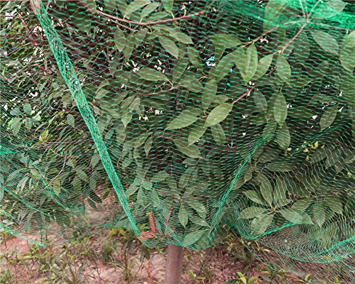 TopGreen Bird Netting 13-Feet by 33-Feet Green Protective Netting Pond Net Protects Fruit Trees Gardens Vineyard