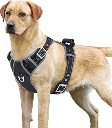 mihachi dog harness
