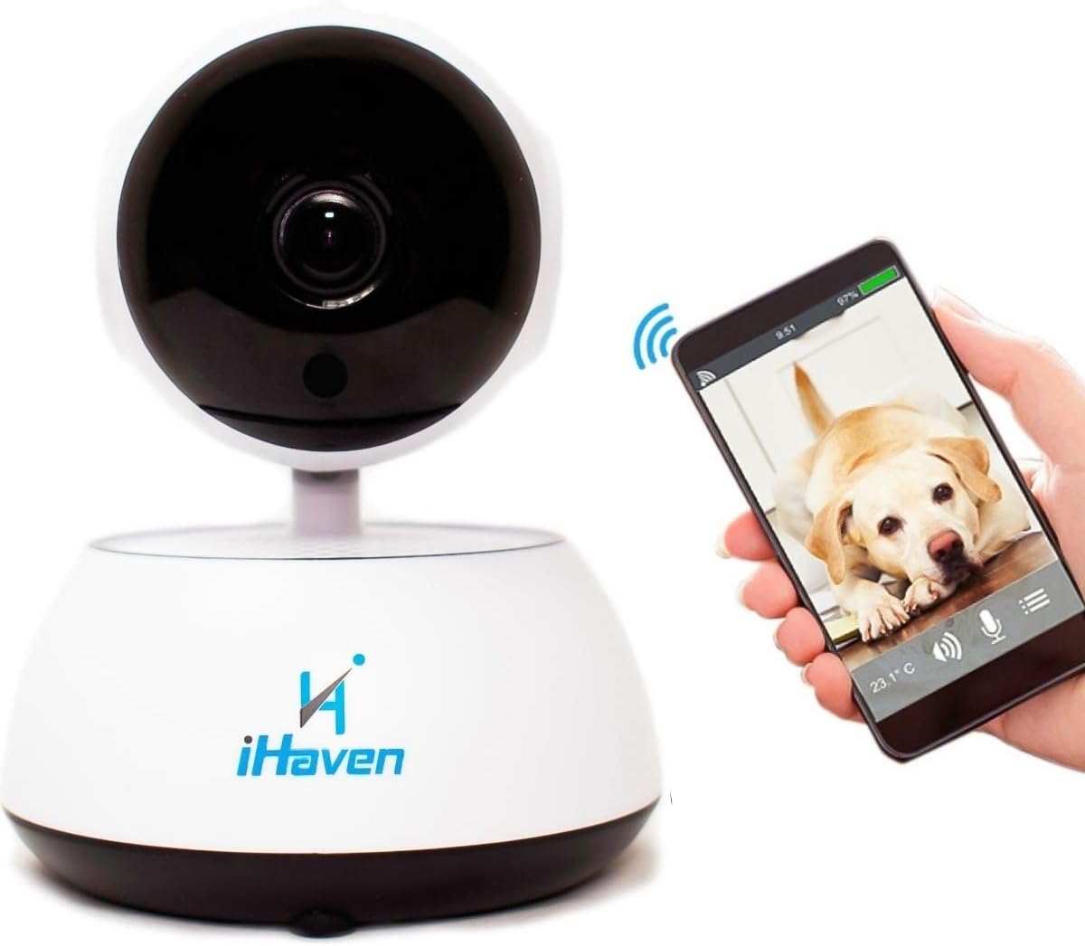 dog cam amazon