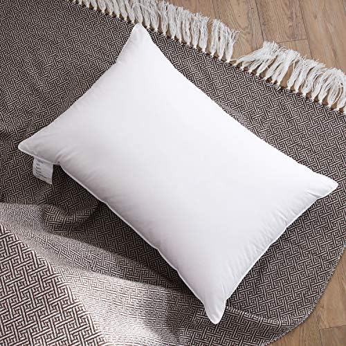 Wenersi pillows Clearance