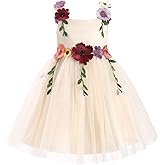 IBTOM CASTLE Flower Girl Dress Toddler Formal Pageant Birthday Party Spaghetti Straps 3D Flower Embroidery Tulle Tutu Dresses