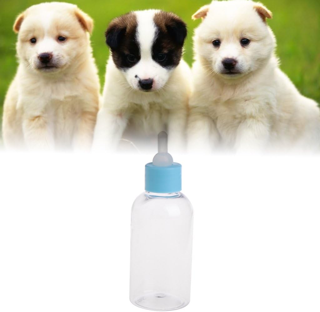 Jagenie Biberon Pour Chiot Et Chaton 60 Ml Jardin Elevage Et Agriculture Urbaine Jagenie Biberon Pour Chiot Et Chaton 60 Ml Jardin Elevage Et Agriculture Urbaine