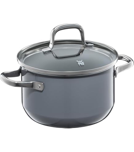 WMF Fusiontec Made in Germany（24cm） Amazon.com: WMF W0520535291 Fusion Tech Frying Pan, 9.4 inches (24