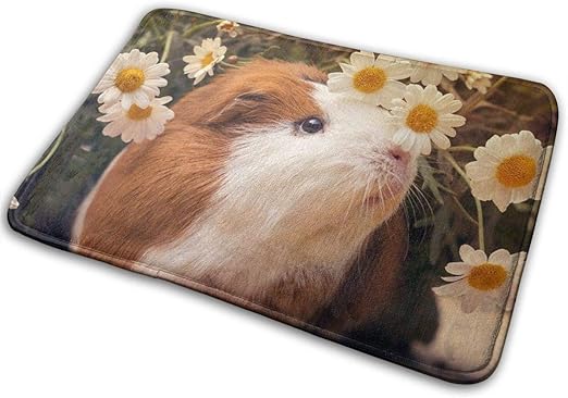 FETEAM Felpudo con Estampado de Flores de Conejillos de Indias de súper
