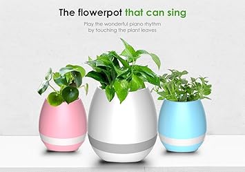 pinnaclz bluetooth speaker